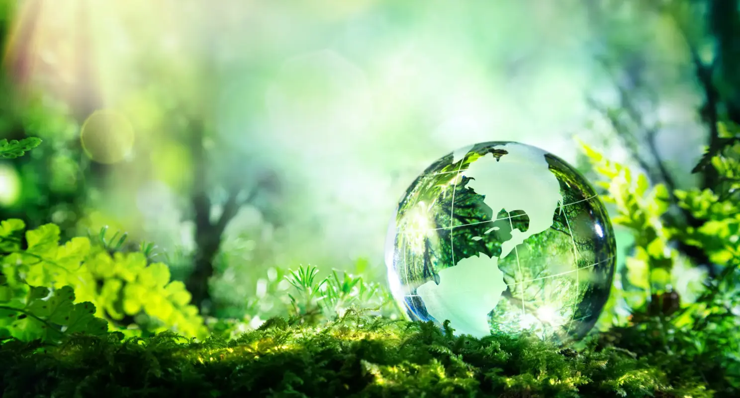 Agriculture background